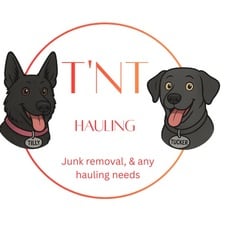 Avatar for T 'n T Hauling