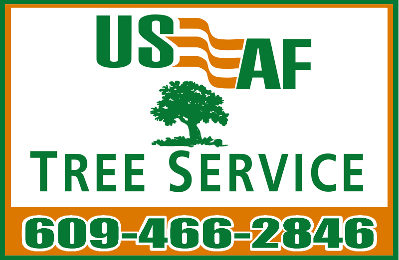 Logo for USAF Tree Service
