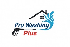 Logo for Pro Washing Plus