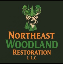 Avatar for Northeast Woodland Restoration LLC