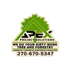 Avatar for Apex Project Solutions