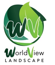 Avatar for WorldView Landscape