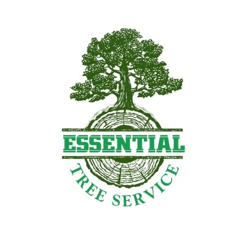 Avatar for Essential Tree Service and Sod