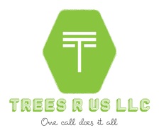 Avatar for Trees R Us