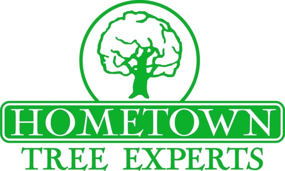 Avatar for Hometown Tree Experts