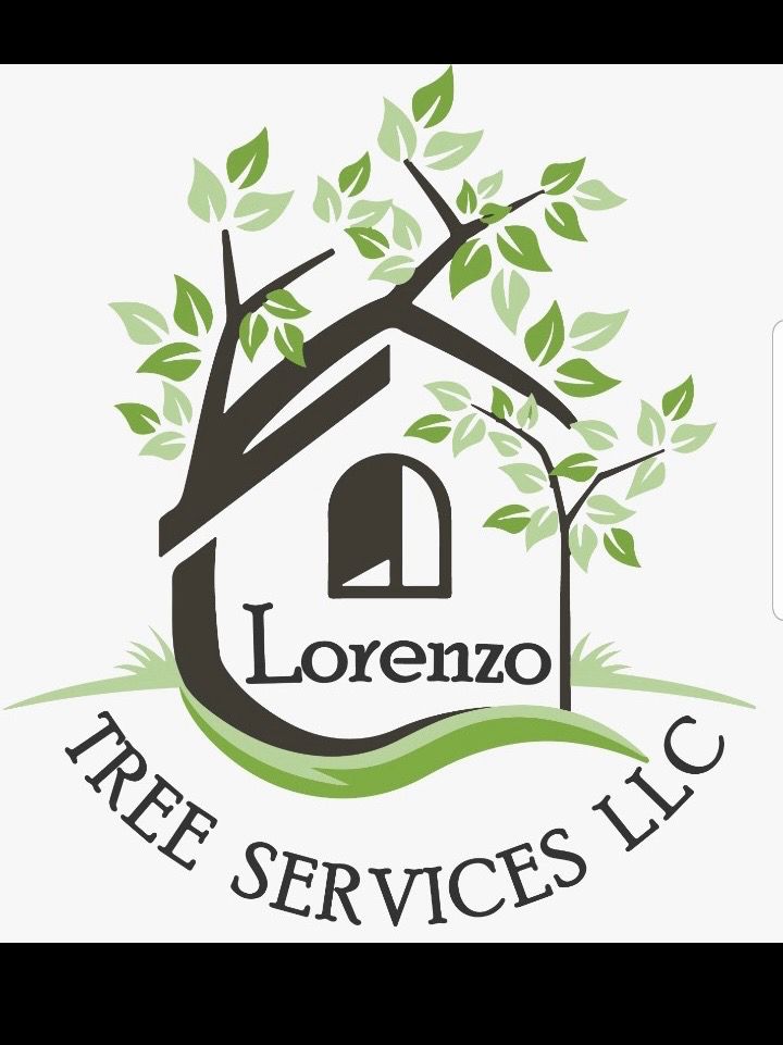 Avatar for Lorenzo tree services llc