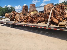Avatar for JB Fresh Transport & Tree Service