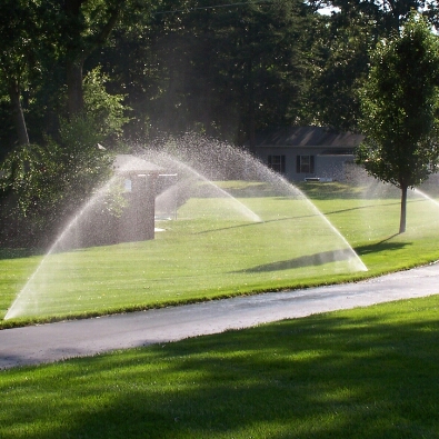 Avatar for 5 Star Affordable Lawn Care