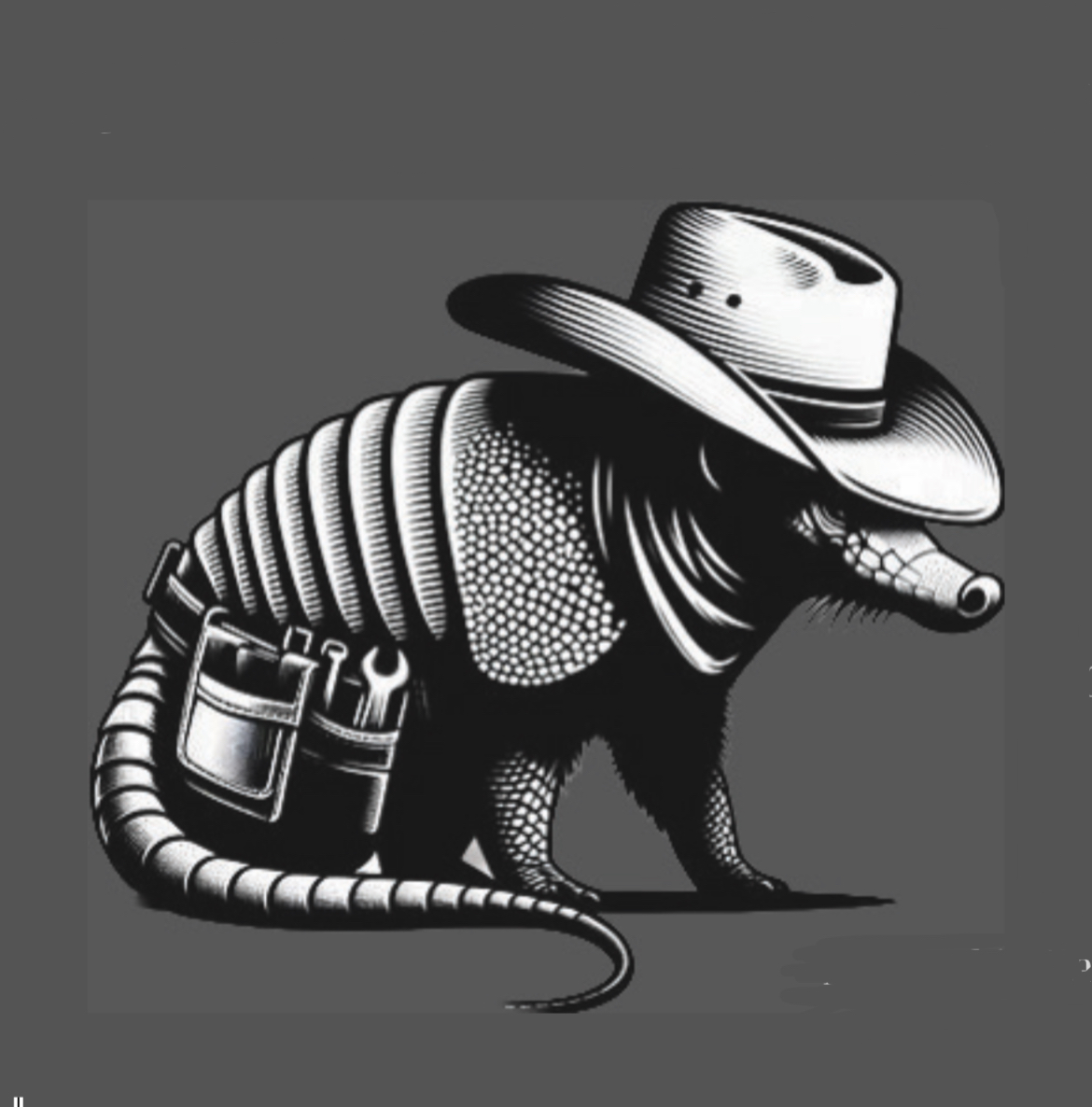Avatar for Armadillo Tile and Home Repair