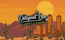 Avatar for Diligent Bee Carpet Cleaning LLC