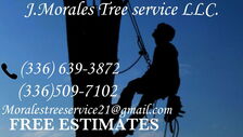 Avatar for Morales Tree Service
