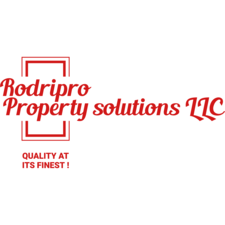 Avatar for RodriPro Property Solutions LLC