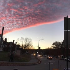 Avatar for Zamora's Painting