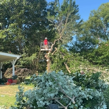 Avatar for NA Tree Service