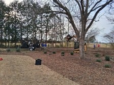 Avatar for Tree Bark ATL LLC