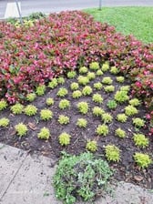 Avatar for Pablobenji