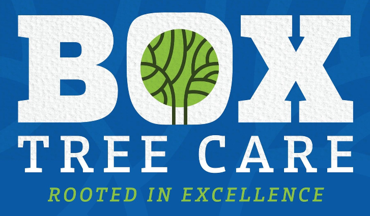 Avatar for Box Tree Care