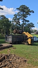 Avatar for Green Eco's Tree Service