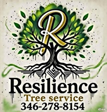 Avatar for Resilience Tree Service