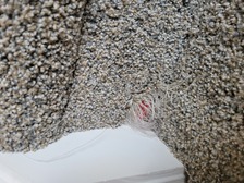 Avatar for Contes Flooring