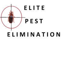 Avatar for Elite Pest Elimination