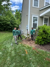 Avatar for Lions Tree Care and Landscaping