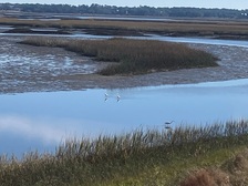 Avatar for South Coast Interiors LLC