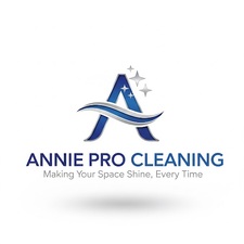 Avatar for Annie cleaning