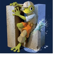 Avatar for BULLFROG MOLD AND WATERPROOFING LLC