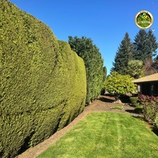 Avatar for DR Todo Landscaping LLC