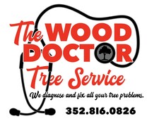 Avatar for The Wood Doctor Tree Service LLC