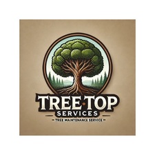 Avatar for Tree Top Services