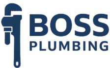 Avatar for Boss Plumbing Corporation
