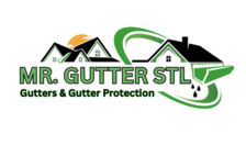 Avatar for Mr. Gutter STL
