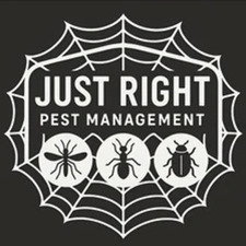 Avatar for JUST RIGHT PEST MANAGEMENT LLC