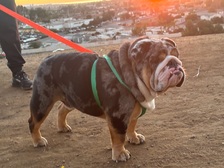 Avatar for Ruty's Cleaning Services