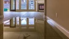 Avatar for Paul Davis Restoration of Downriver Detroit