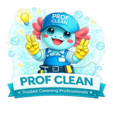 Avatar for Prof-Clean