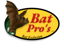 Avatar for Bat Pro's