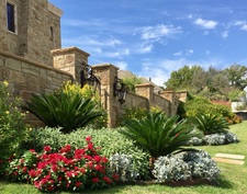 Avatar for Morning Star Landscaping Inc.