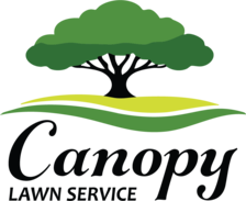 Avatar for Canopy Lawn Service