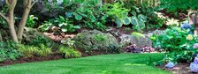 Rice landscaping logo