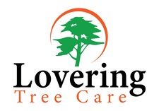 Avatar for Lovering Tree Care