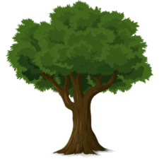 Avatar for Washington Tree Services