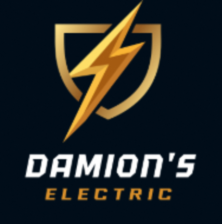 Avatar for Damion's Electric
