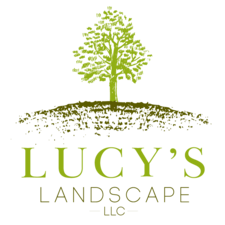 Avatar for Lucy's Landscape