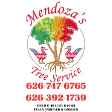 Avatar for MENDOZA'S TREE SERVICE CORP.