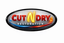 Avatar for Cut n Dry Restoration