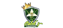 Avatar for Calel's Landscape