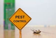 Avatar for Keystone Pest Control